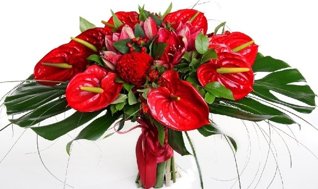 Какие цветы дарят мужчинам на День рождения: обзор, советы - фото4 Какие цветы дарят мужчинам на День рождения: обзор, советы - фото4