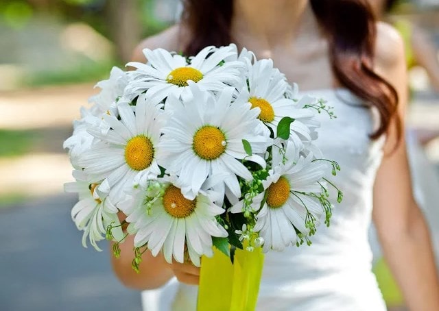 Лучшие цветы для романтического подарка - фото4 Лучшие цветы для романтического подарка - фото4