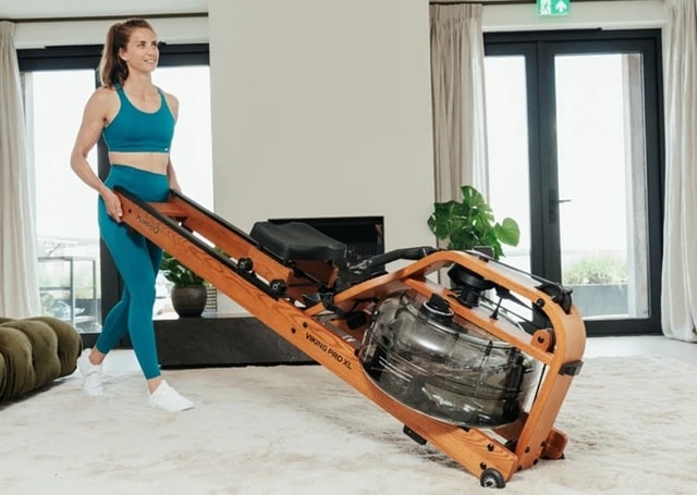 Гребные тренажеры: эффективность, история и преимущества, как выбрать - фото Гребные тренажеры: эффективность, история и преимущества, как выбрать - фото