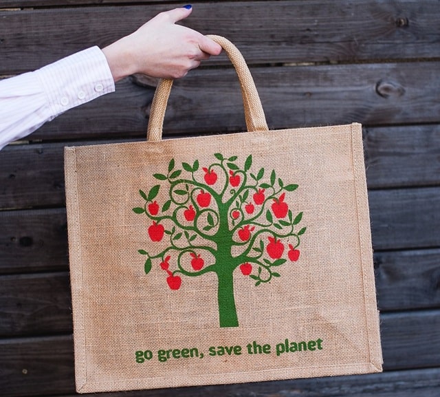 Экосумка: что это такое, из чего их делают, плюсы и минусы - фото3