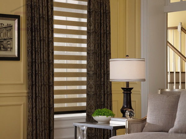 Жалюзи Зебра на пластиковые окна без сверления - фото5 Жалюзи Зебра на пластиковые окна без сверления - фото5