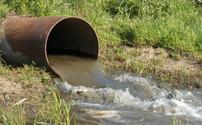 Предприниматель в Саках расплачивается за нарушение экологического законодательства
