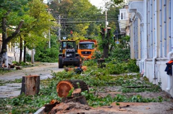 В Симферополе избавляются от деревьев, опасных для жизни