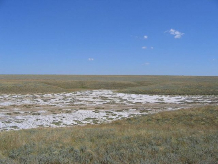 Из сельхозоборота Крыма выводят тысячи гектаров земли