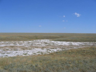 Из сельхозоборота Крыма выводят тысячи гектаров земли