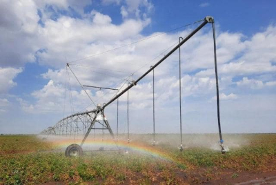 Засуха - аграрии пытаются спасти урожай при помощи поливных машин