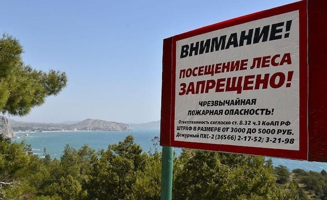 В целях обеспечения пожарной безопасности продлен запрет на посещение лесов