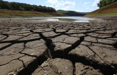 Засуха, охватившая Крым, самая сильная за последние полвека