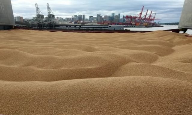 Россияне начали вывозить украинское зерно из еще одной бухты