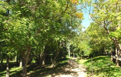 Парк Гагарина переделают