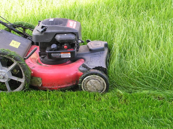 В Керчи активисты провели субботник