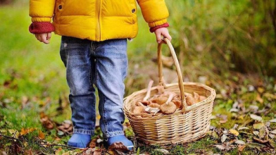 Дикорастущими грибами в Крыму отравился 2-летний ребенок