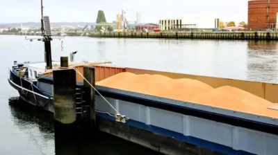 Россия продолжает тайно вывозить украинское зерно, изменяя данные судов