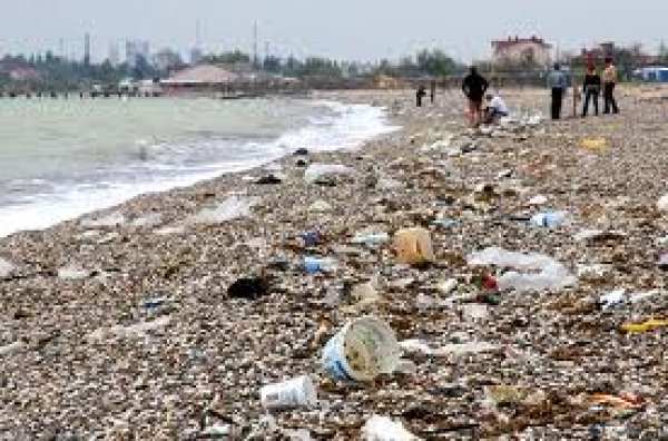 Крымские власти назвали главную экологическую трудность