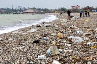 Крымские власти назвали главную экологическую трудность