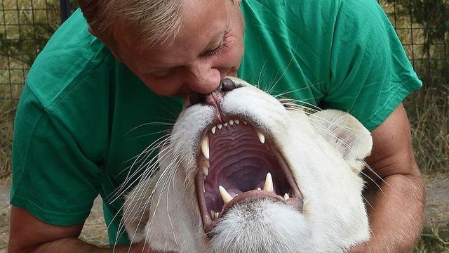 Португалия пригласила Олега Зубкова построить зоопарк, предприниматель пока раздумывает (видео)