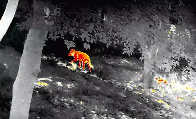 Ночная оптика от компании Delta1.ua: новые приборы ночного видения