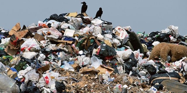 В Крыму посчитали мусорные свалки