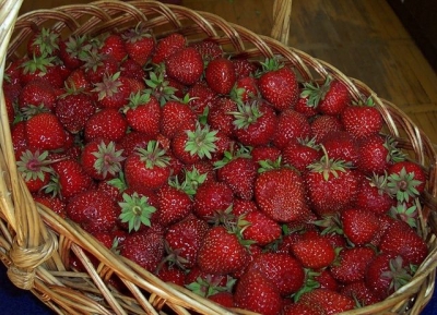 Жители Крыма выбирают между клубникой и мясом – цены на них одинаковые