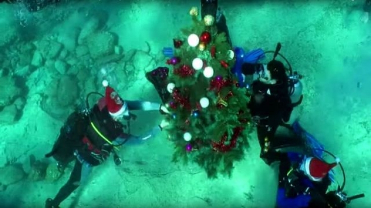 Крымские драйверы установили елку на морском дне и украсили ее