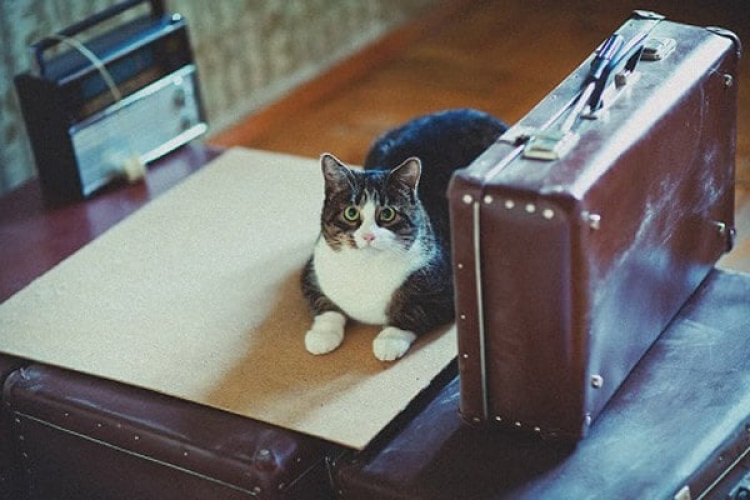 На улице могут оказаться люди, прожившие в своих квартирах десятки лет