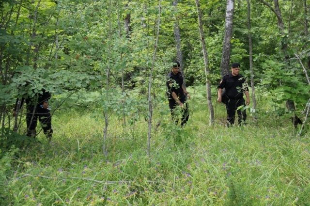 Подростки сбежали в лес – захотелось самостоятельности