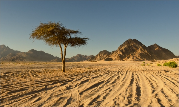 Мечты крымских чиновников о воде разбиваются о суровую реальность