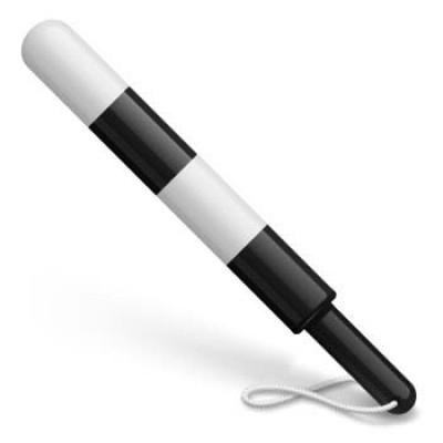 Школьники из Первомайска стали лучшими инспекторами движения