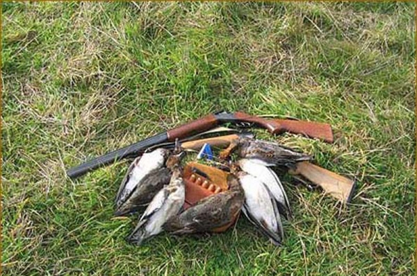 В Крым пригласили итальянских охотников