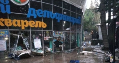 ЧП в дельфинарии: бассейн в Алуште остался без воды