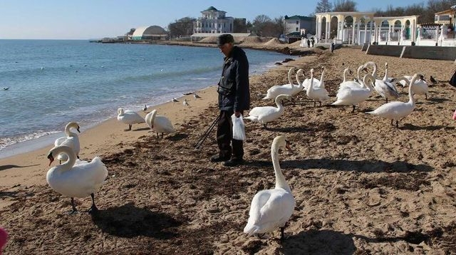 Коронавирус срывает курортный сезон – зарегистрированы новые очаги