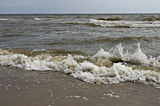 Черное море находится на грани экологической катастрофы