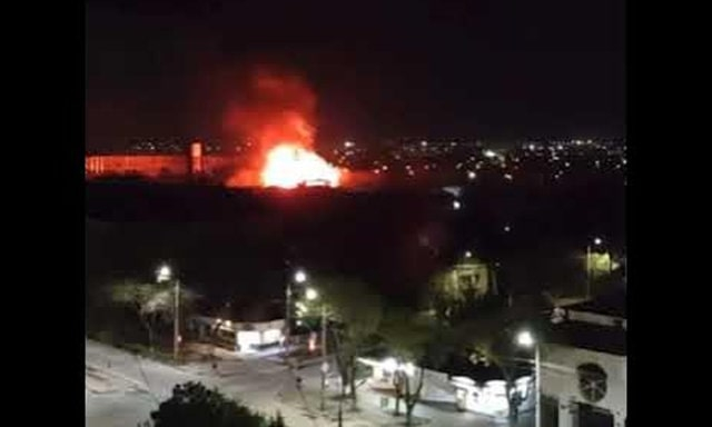 Ночной пожар в Евпатории – погибли более 200 животных