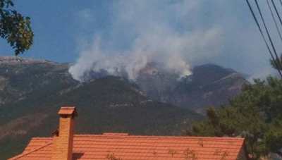 Пожар в ущелье Уч-Кош тушили 16 часов