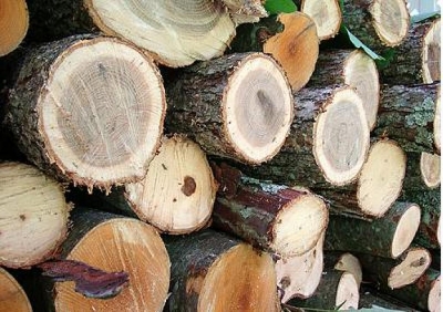 В Белогорском районе очередь на дрова расписана на несколько месяцев