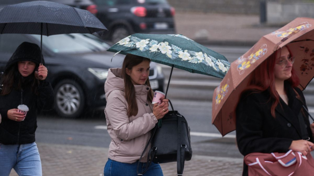 Январь на Крымском полуострове оказался аномально сухим