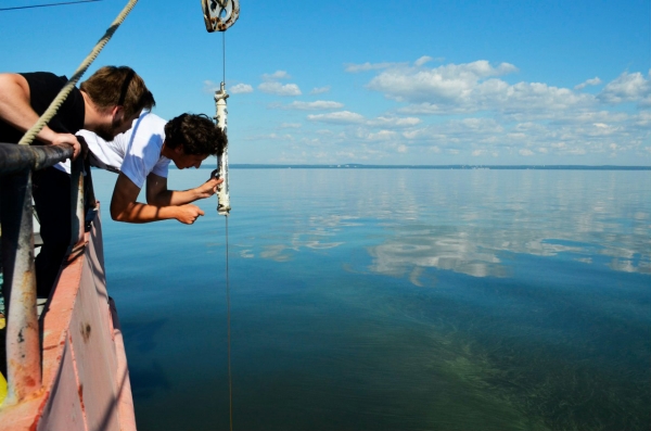 Российские власти признались – ущерб экологии при строительстве моста неизбежен