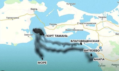От разлива нефтепродуктов могут пострадать крымские пляжи, под угрозой – дельфины