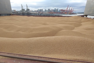Россия через Крым вывозит украденное украинское зерно