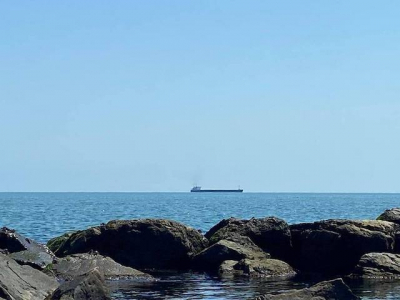 Российские сухогрузы с ворованным зерном замерли на рейде