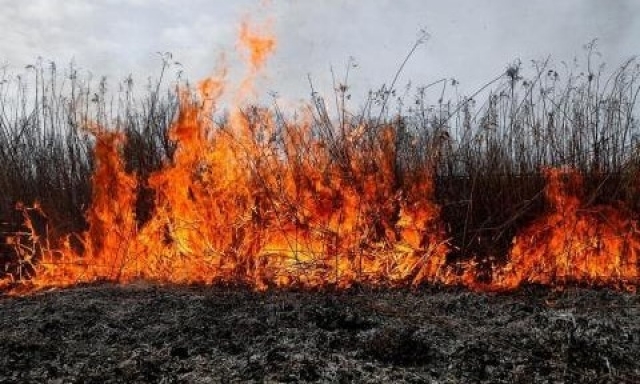В Кировском районе произошел масштабный пожар
