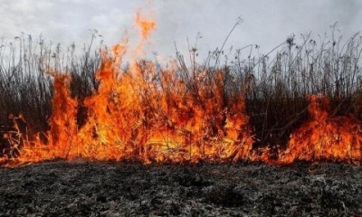 В Кировском районе произошел масштабный пожар