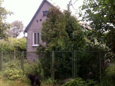 В Никитском ботаническом саду обнаружены свыше 500 участков, законность которых вызывает сомнения