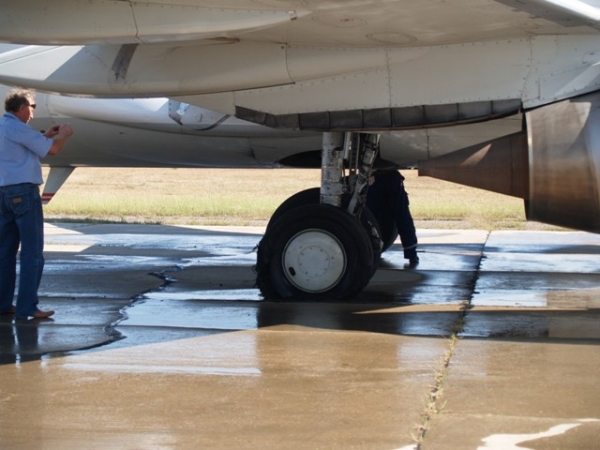 Птица стала причиной аварийной посадки «Боинга» в аэропорту Симферополя