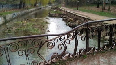 1000 деревьев вдоль Салгира планируют спилить в Симферополе