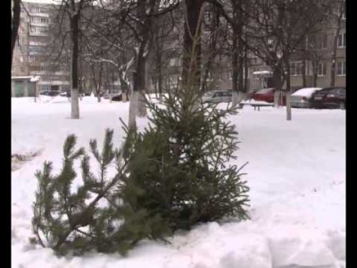 Крымский «Елковорот» начнется 20-го января