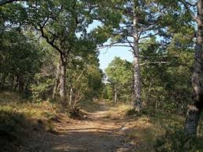 Суд возвращает заповедные земли на южном берегу Крыма в госсобственность