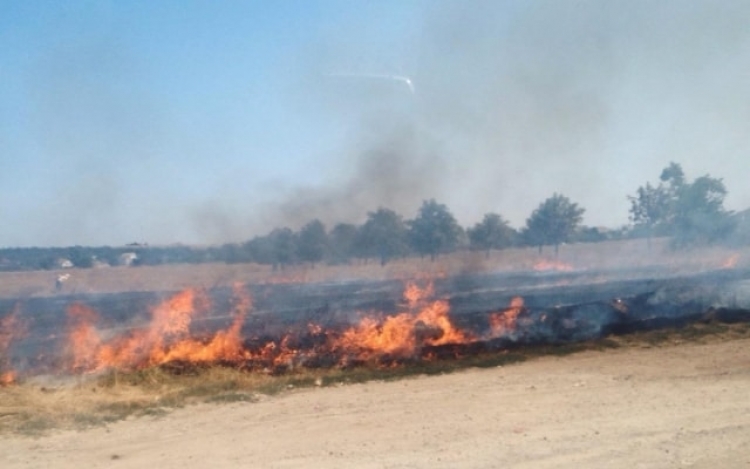 Из-за пожаров вдоль крымских дорог разбилось несколько автомобилей