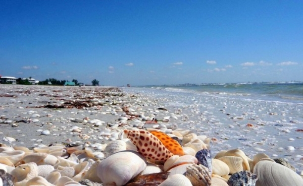 Центральный пляж Ялты стал центром скандала