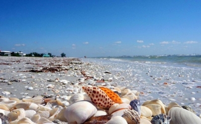 Центральный пляж Ялты стал центром скандала